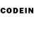 Псилоцибиновые грибы GOLDEN TEACHER Shindo13371