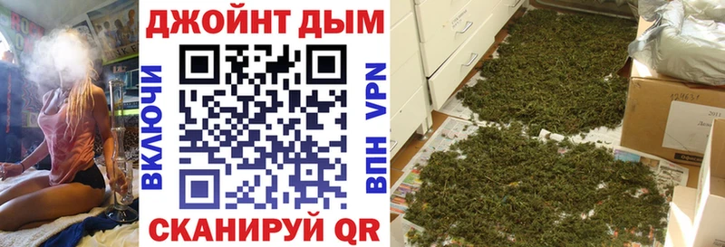 это как зайти  Павловск  Конопля план  купить наркотик 